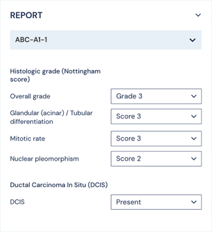 Breast-cancer-grading-UI-report