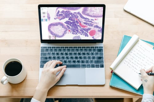 The benefits of digital pathology in education