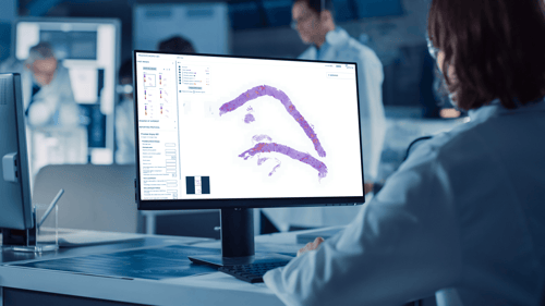 Aiforia signs a major deal with an Italian Regional Health Authority
