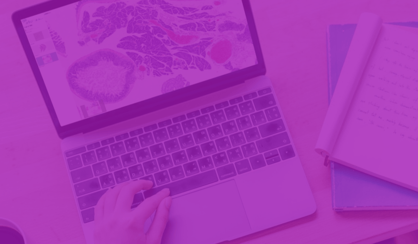 Women in STEM: Seung-Yi Lee