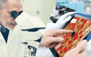 pathologist using microscope and digitized slides