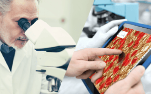 pathologist using microscope and digitized slides