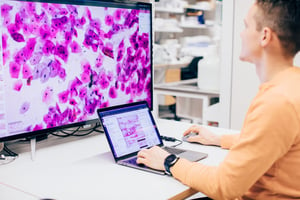 pathologist using Aiforia's AI model platform