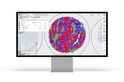 CerbaResearch1_monitor