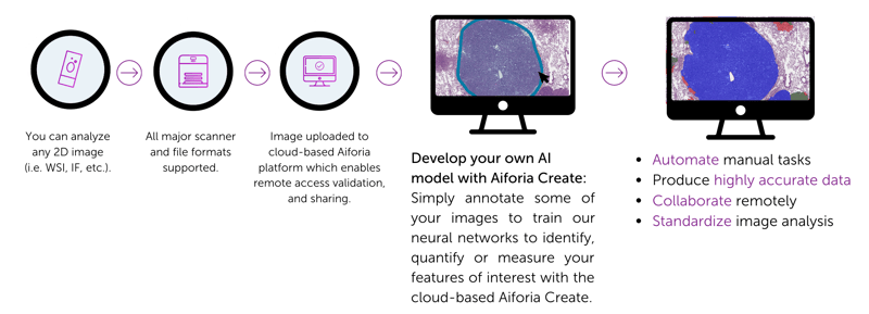 AI for image analysis with Aiforia