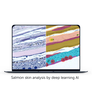 salmon skin analysis by deep learning AI