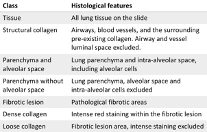 lung fibrosis histological features table