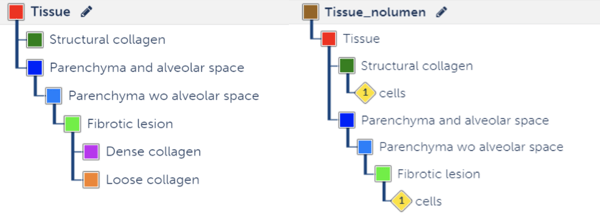 AI model training histological features