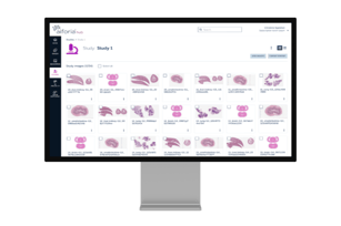 Studies presenttaion_monitor