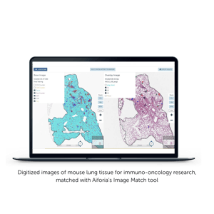 digitized images of mouse lung tissue