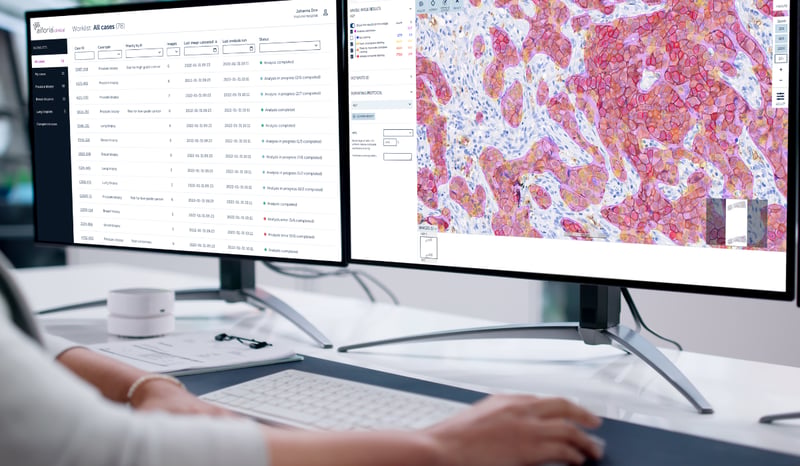 Aiforia and Stratipath partnership_blog banner