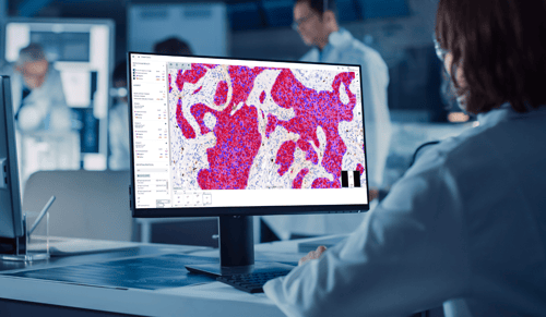 Aiforia delivers AI-powered digital pathology solutions through Google Cloud Marketplace