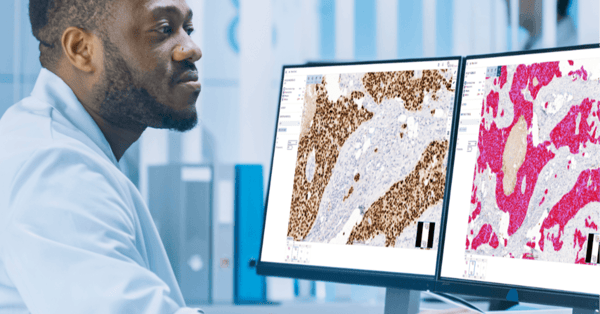 Digital pathology deployment in Veneto 8 steps to success_blog banner-1-1-4