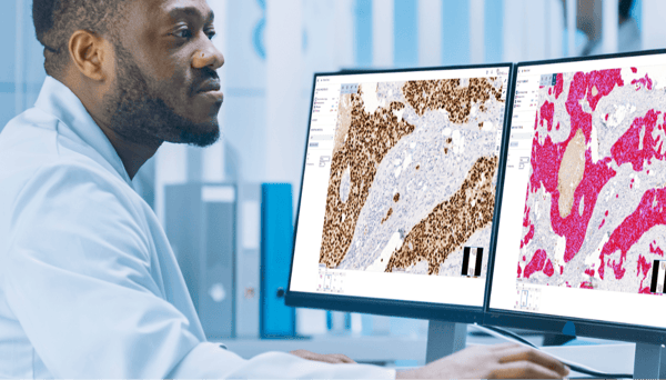 Digital pathology deployment in Veneto 8 steps to success_blog banner-1-1