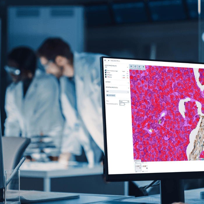 Italian deal _blog banner-1