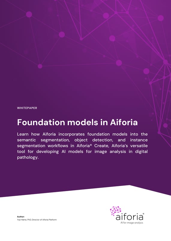 Whitepaper Best practices for AI_cover page-1