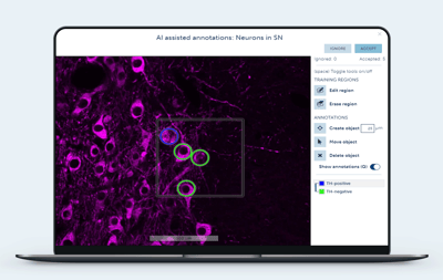 image analysis annotation assistant