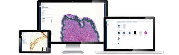 remote pathology image analysis on computer screen